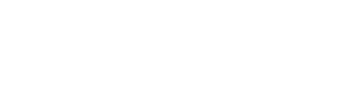 Sanibrüder